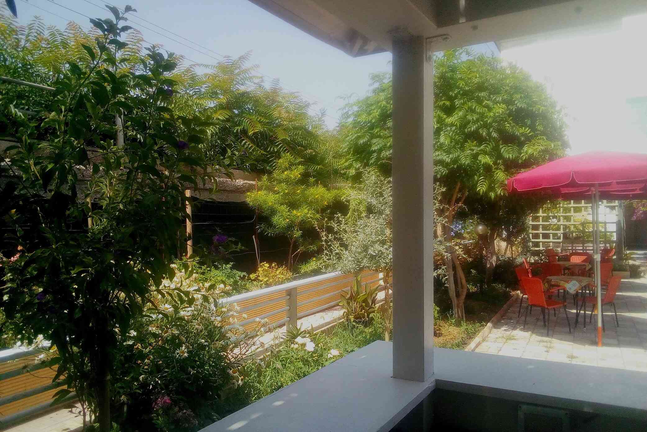 Il Cocktail du monde nel giardino con tavolini all'ombra di Atriplez halimus arborescenti e Pistacia Lentiscus enormi