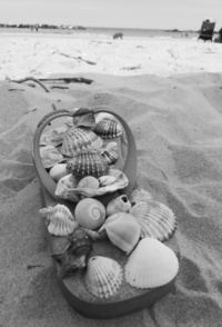 direttamente sul mare Abruzzo Ortona