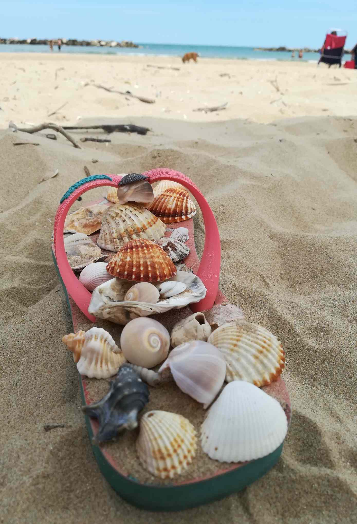 direttamente sul mare Abruzzo Ortona